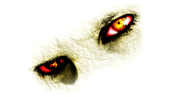Horror, Dark, Eye, Creepy HD wallpaper