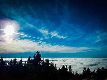 Nature, Trees, Sky, Clouds HD wallpaper