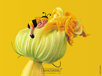 baby, anne geddes, bee, sleep, flower HD wallpaper