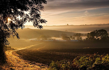 Nature, Wood, Road, Tree, Fog, Morning, Train HD wallpaper