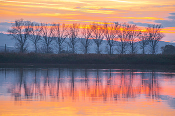 Nature, Trees, Sunset, Lake, Reflection HD wallpaper