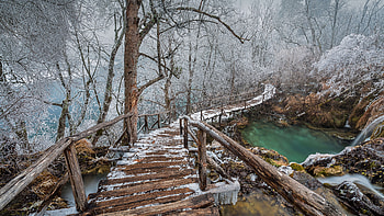 Plitvice Lakes National Park, national park, croatia, plitvice lakes, path HD wallpaper