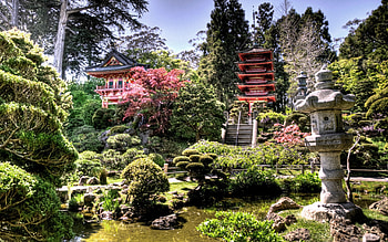 Asia background , Gorgeous ry, Cultural diversity, Enchanting landscapes HD wallpaper
