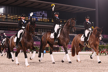 Dressage sports, Olympic dressage, Germany wins, Team gold medal HD wallpaper
