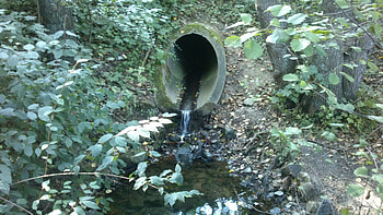 A drain water pipe, Creek, Day, graphy, Leaves, , Daytime, Leaf, Park, Water, Nature, Leafs, Rivulet, Midday, graph, Outside, Snapshot HD wallpaper
