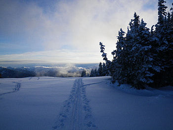 SunDancer, winter, olympic mountains, snow, winter fun, snowcap, sun, mountain HD wallpaper
