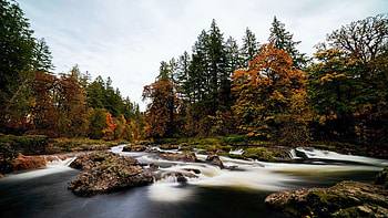 McKercher Park, Oregon, fall, landscape, trees, colors, sky, forest, stones, stream, usa HD wallpaper