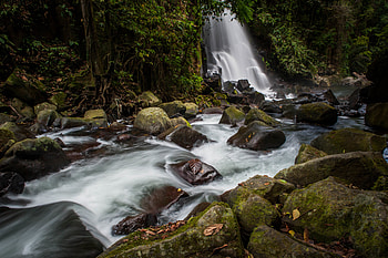 Nature, Water, Trees, Stones, Waterfall, Flow, Moss, Stream HD wallpaper
