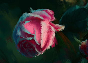 Frozen pink rose, rose, winter, pink, art, frozen, flower, iarna, natalie, trandafir HD wallpaper
