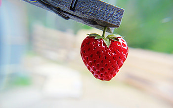 the strawberry-nice, strawberry, heart, nice, red HD wallpaper