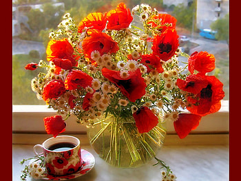 Beautiful Flowers, colorful, beautiful, flowers HD wallpaper