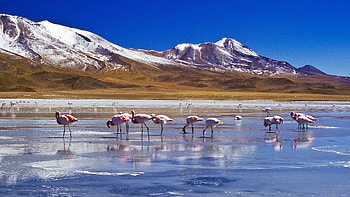 Bolivia, Top backgrounds HD wallpaper