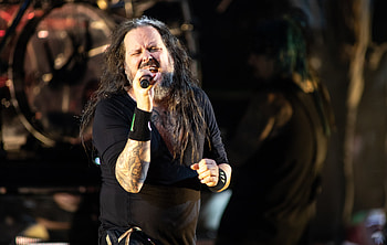 Korn's new album, Lockdown creation, Band's productivity, Music industry news HD wallpaper