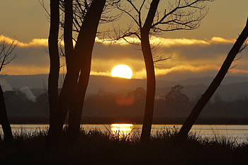 Nature, Rivers, Trees, Sunset, Grass, Sun HD wallpaper