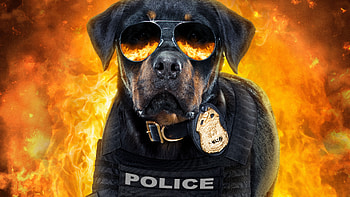 Show Dogs Poster, show-dogs, 2018-movies, movies, dogs, poster HD wallpaper