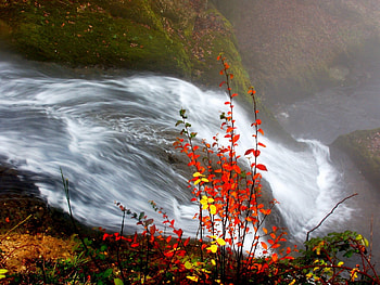 Nature, Water, Rivers, Autumn, Leaves, Bush, Flow, Stream, Bars, Rods HD wallpaper