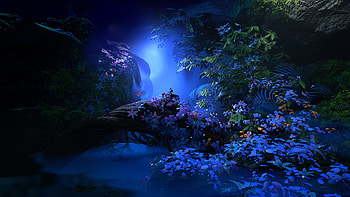 Flowers Night Blue Fantasy Landscape HD wallpaper