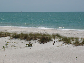 sailboat on the horizon, sailboat, ocean, florida, beach HD wallpaper
