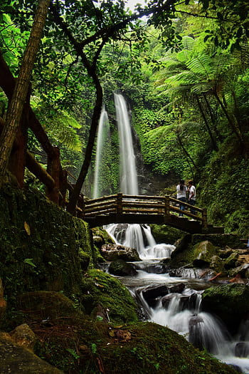 Peaceful waterfall scene with a rustic wooden bridge in a lush, green forest setting. HD phone wallpaper