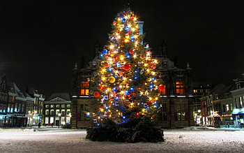 Holiday Fir, holiday, lights, ornaments, nighttime, nature, fir, tree HD wallpaper