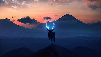 Wild And , reindeer, artist, artwork, digital-art HD wallpaper