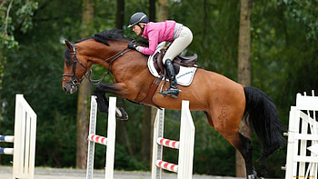 Equestrian , Equestrian backgrounds, Horse , Equestrian sports HD wallpaper