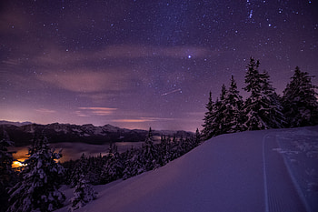 Snowy Silence Midnight Forest Ambiance, mountains, snow, nature HD wallpaper