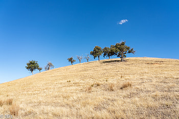 Nature, Trees, Hill, Cloud HD wallpaper