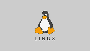 Linux Tux Minimalism , tux, ubuntu, logo, computer, linux, minimalism HD wallpaper
