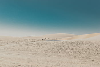 Vast desert landscape with rolling dunes and a bright blue sky, showcasing nature's untouched beauty. HD wallpaper