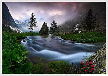 flowing, river, foam, brook, trees, riverbank, misty, water, mountain HD wallpaper