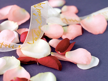 Roses, Love, Petals, Tape HD wallpaper