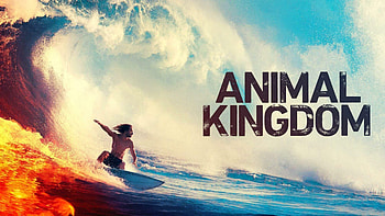 Animal Kingdom, Start der 4 Staffel, Joyn Primetime HD wallpaper