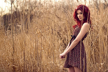 Susan Coffey, red hair, beautiful, people, dress, celebrity, wheat, nature, models HD wallpaper