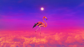 Flamingo Colorful , flamingos, birds, artist, artwork, digital-art HD wallpaper