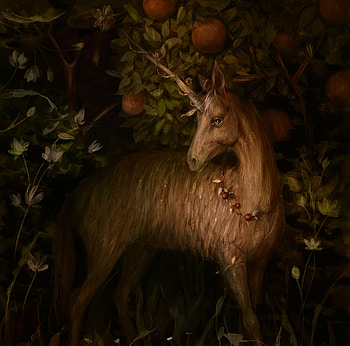 Unicorn, dark, olga sheglova, brown, art, fantasy, forest HD wallpaper