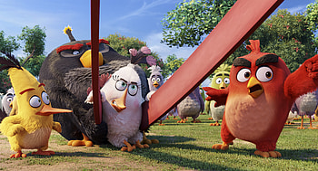 The Anrgy Birds Movie , angry-birds, birds, movies, animated-movies, 2016-movies, the-angry-birds-movie HD wallpaper