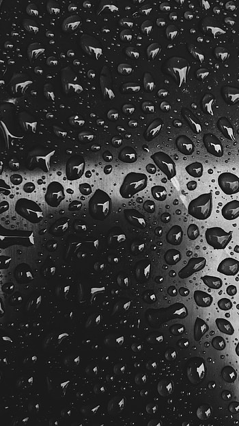 Drops, Close-Up, Bw, Chb HD phone wallpaper