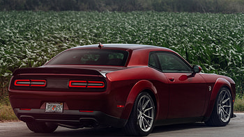 Dodge Challenger Srt Hellcat , dodge-challenger-srt-hellcat-widebody, dodge-challenger, dodge, 2019-cars HD wallpaper