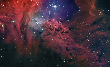 The Fox Fur Nebula, nebula, galaxy, fun, space, cool, stars HD wallpaper