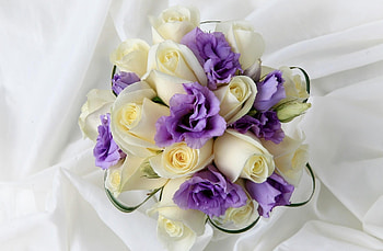Flowers, Roses, Registration, Typography, Bouquet, Lisianthus Russell, Lisiantus Russell HD wallpaper