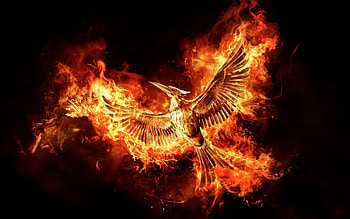 The Hunger Games: Mockingjay - Part 2, Captivating movie , Exciting movies, Stunning visuals HD wallpaper
