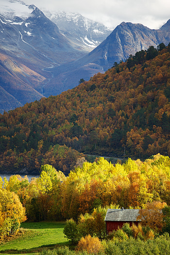 Nature, Trees, Mountains, Forest, Hut HD phone wallpaper