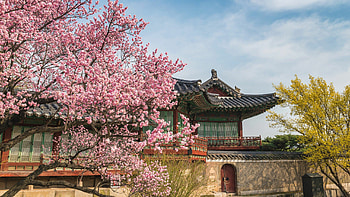 Changdeokgung, Korea HD wallpaper