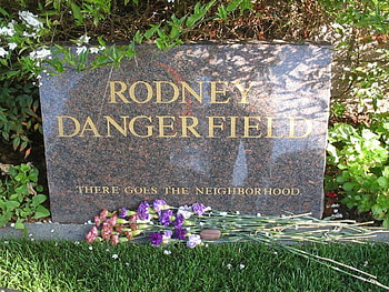 RODNEY DANGERFIELD, american, movies, comedy, actors HD wallpaper