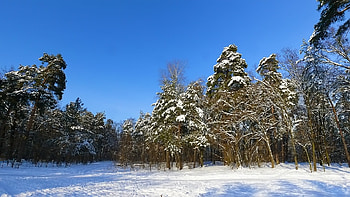 Landscape, Winter, Nature HD wallpaper