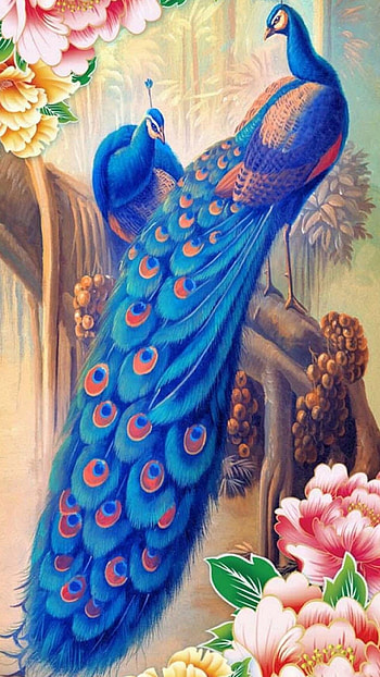 Peacock , Stunning , Vibrant colors, Majestic beauty HD phone wallpaper
