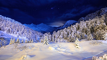 Landscape, Trees, Snow HD wallpaper