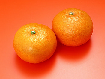Orange on orange background, fruit, orange, eat, food HD wallpaper