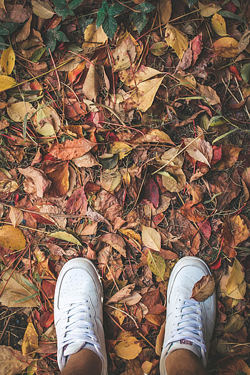 Autumn, Miscellanea, Miscellaneous, Legs, Sneakers, Foliage HD phone wallpaper